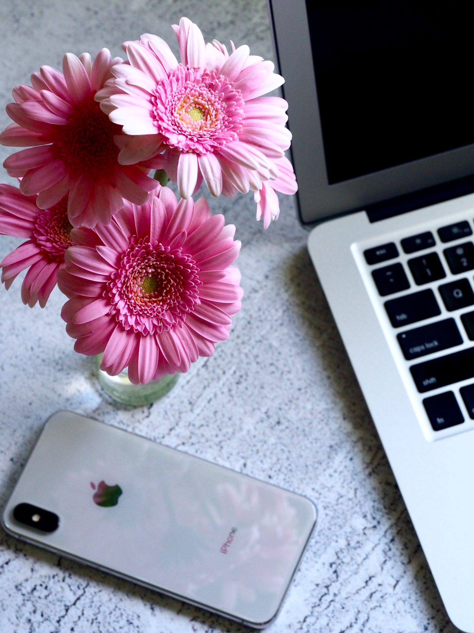 Photo of a pink flowers in a case on a table with a laptop and cell phone. Are you struggling to find the time to attend therapy? With online therapy in Macon, GA you can begin attending therapy in a convenient way.